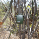 One of three recorders in the Guanica dry forest that was able to pick up animal sounds during and after Hurricane Maria. Photo Courtesy Ben Gottesman
